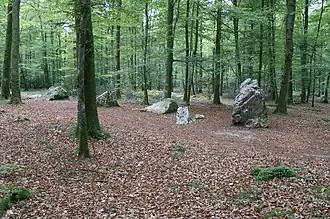 Image illustrative de l’article Forêt de Fougères