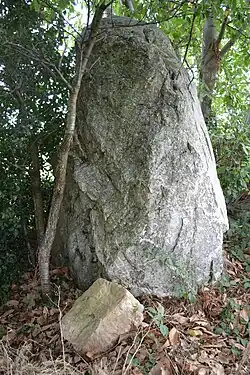 Image illustrative de l’article Menhir de Clairet