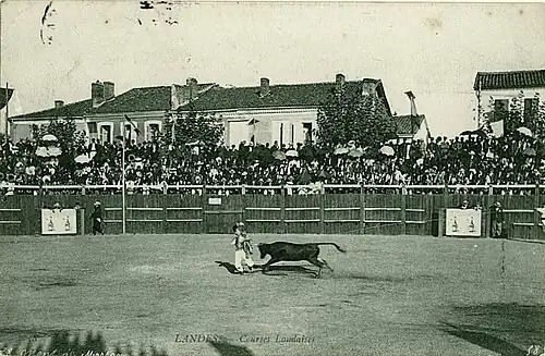 Place Saint-Roch un jour de course landaise.
