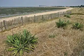 Rivedoux-Plage. La plage nord à marée basse, au fond de la baie, le pont de l'île de Ré.