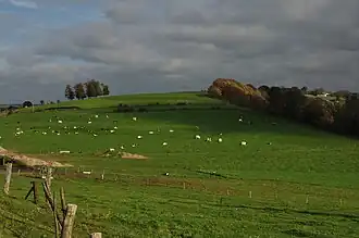 Paysage de Fraiture (Sprimont)