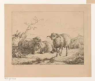 Trois moutons et un bélier, gravure, Rijksmuseum Amsterdam.