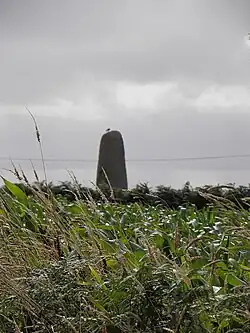 Image illustrative de l’article Menhir de Saint-Gonvarc'h