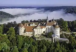 Vue aérienne d'un château à la toiture rouge niché dans une forêt, avec de la brume dans le fond de l'image.