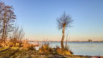 Langweerderwielen tôt le matin.  Mars 2021.