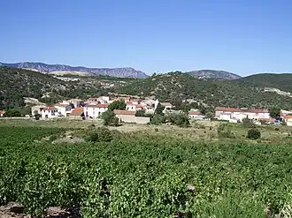 Image illustrative de l’article Côtes-du-roussillon