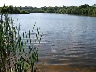 Les étangs sur les anciennes carrières de kaolin.