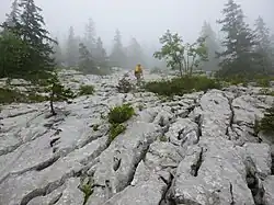 roche nue et burinée de profondes cannelures, de trous