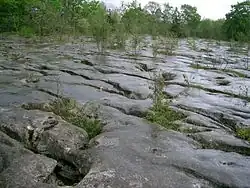 Loulle dans le Jura, en France.