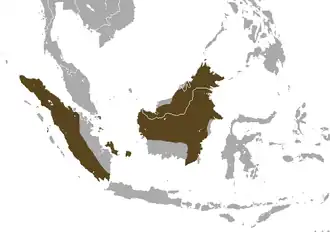 Description de l'image Large Treeshrew area.png.