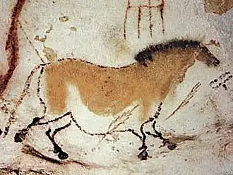 Peintures de la grotte de Lascaux : un cheval de Dordogne tourné vers la droite, brun sur fond blanc.