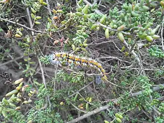 Description de cette image, également commentée ci-après