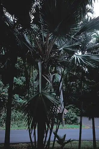 Description de cette image, également commentée ci-après