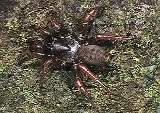 Description de cette image, également commentée ci-après