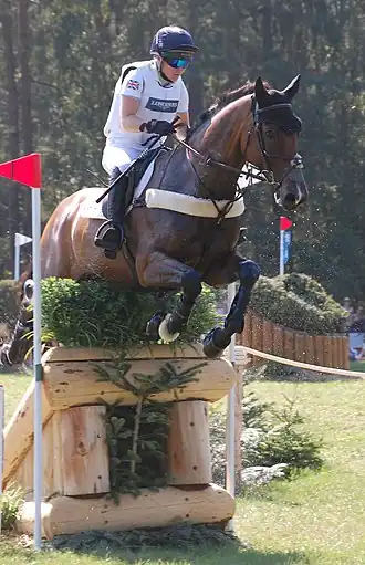 Image illustrative de l’article Laura Collett