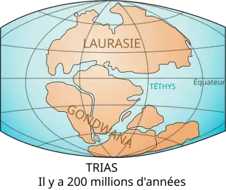 Carte des terres émergées au Trias, montrant deux supercontinents, la Laurasie et le Gondwana.