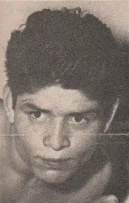 Image illustrative de l’article Lauro Salas