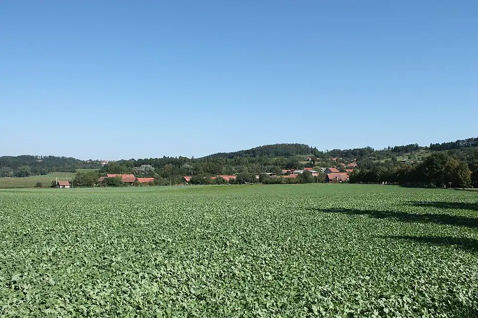 Panorama de Leština.