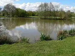 Étang.