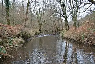 Image illustrative de l’article Bel Rio