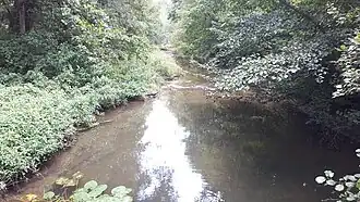 Le Bréon en aval du château.