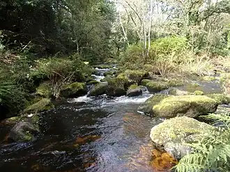 La rivière Aër en aval du moulin du Temple.