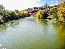 Le Doubs, en amont du pont de Bourguignon