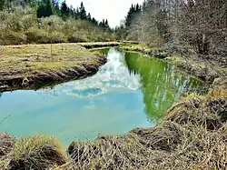 Le Drugeon en amont de Bonnevaux.