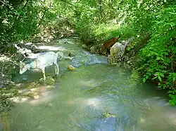 La rivière du Gabre , au sud-est des Selves des Boucs.