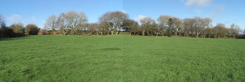 Image illustrative de l’article Hague-Dick