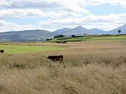 Vue sur les tourbières et les Monts du Cantal