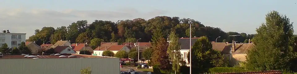 Une petite collines boisée émerge d'un environnement urbain.
