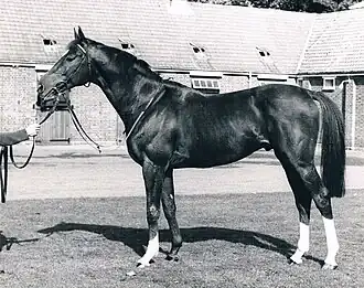 Image illustrative de l’article Le Moss