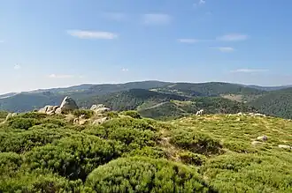 Le serre de Champ Maux (ouest).