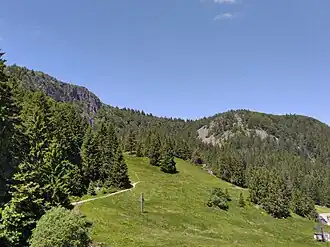 Versant alsacien du Tanet.