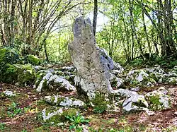 Menhir du Désert.