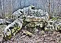 Dolmen de Trépot