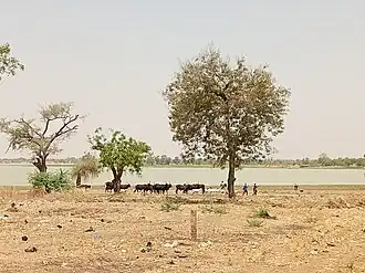 Image illustrative de l’article Lac de Madarounfa