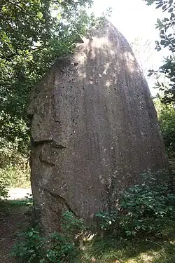 Image illustrative de l’article Menhir de Ranion