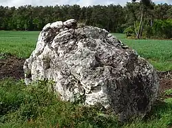 Le menhir dit « La Pierre Daniel ».