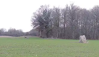 Le menhir vu depuis la route.