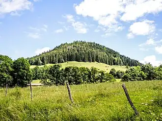 Le mont Châteleu, vu du Nid du Fol.
