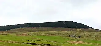 Versant occidental du Chaulet.