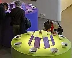 Des bols de thé disposés autour d'une table, chacun avec son panneau explicatif. Une personne inspire l'odeur d'un des bols.