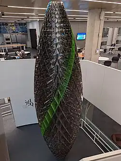 Le noyau cyt(o)-architectonique