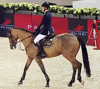 Kevin Staut et Le Prestige St-Lois*de Hus lors la Finale Top Ten Rolex IJRC à Paris (décembre 2011).