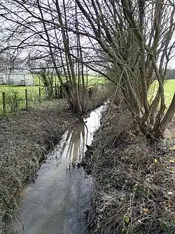 Près de la Nocterie.