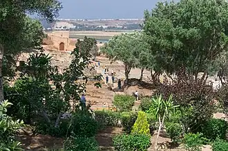 Point de vue dans l'enceinte du site du Chellah le 2 juin 2024