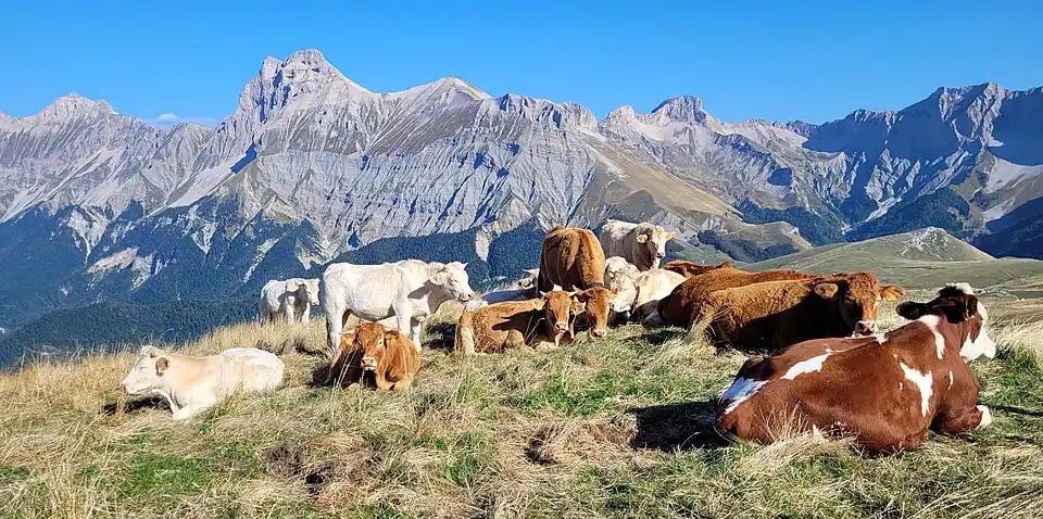 Le sommet du Grand Ferrand (2&nbsp;758&nbsp;m‖ depuis la crête de la montagne de France.