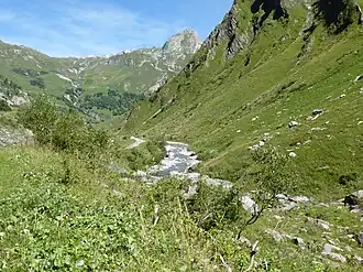 Vue du torrent des Glaciers dans la vallée des Chapieux.